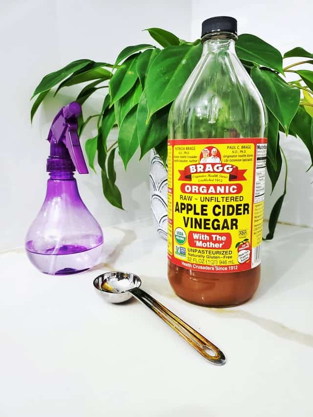 Benefits of Apple Cider Vinegar