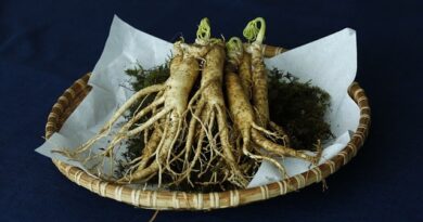 Astonishing Health Benefits Of Ginseng