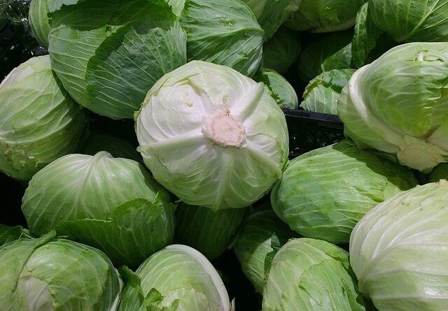 Cabbage Benefits for Health, Skin And Body