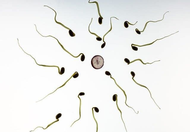 Healthy Foods To Increase Sperm Production