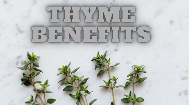 Incredible Health Benefits Of Thyme Leaves